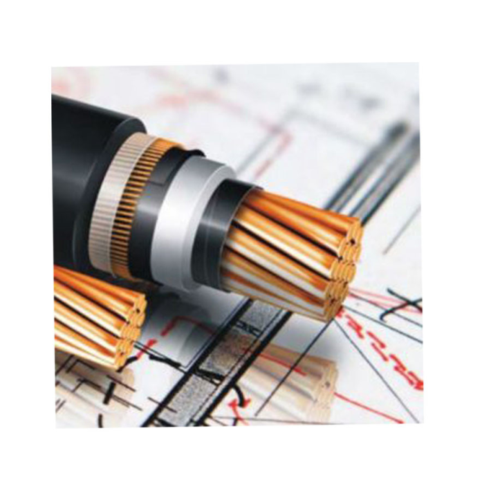 Cáp ngầm trung thế LS Vina 24kV (Cu/xlpe/pvc/dsta/pvc) W 3x50 SQMM